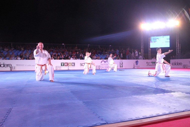 Martial Arts Festival